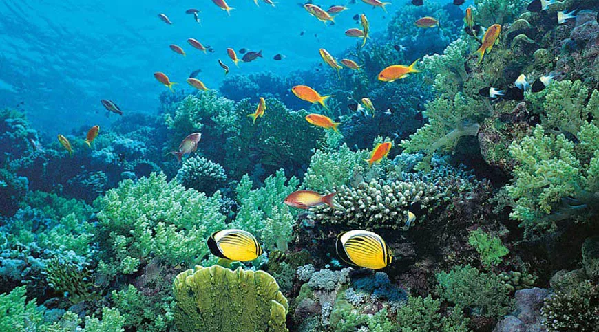 Ölüdeniz tüplü dalış